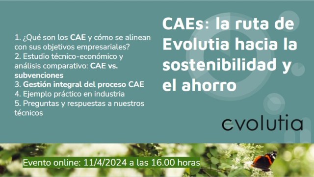 CAEs: impulsando la sostenibilidad y eficiencia energética en tu empresa