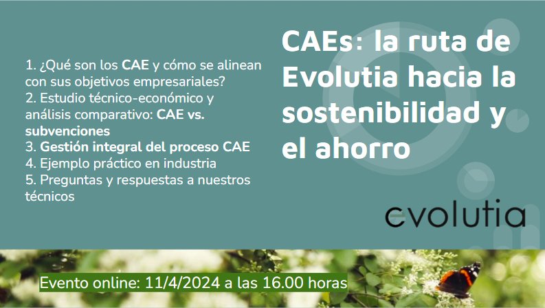 CAEs: impulsando la sostenibilidad y eficiencia energética en tu empresa